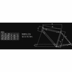 VTC Bianchi Rubino Gent Deluxe Vert Céleste -Promos Vélos Urbains Boutique gometrie rubino gent deluxe 700x700 2