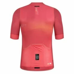 Maillot Manches Courtes Gobik Carrera 2.0 Paradise Unisex -Promos Vélos Urbains Boutique maillot unisex carrera paradise gobik warm series22 2 700x700 6